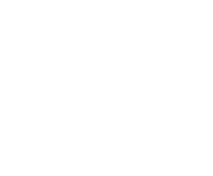 NOCCO_logo_RGB_neg_notagline
